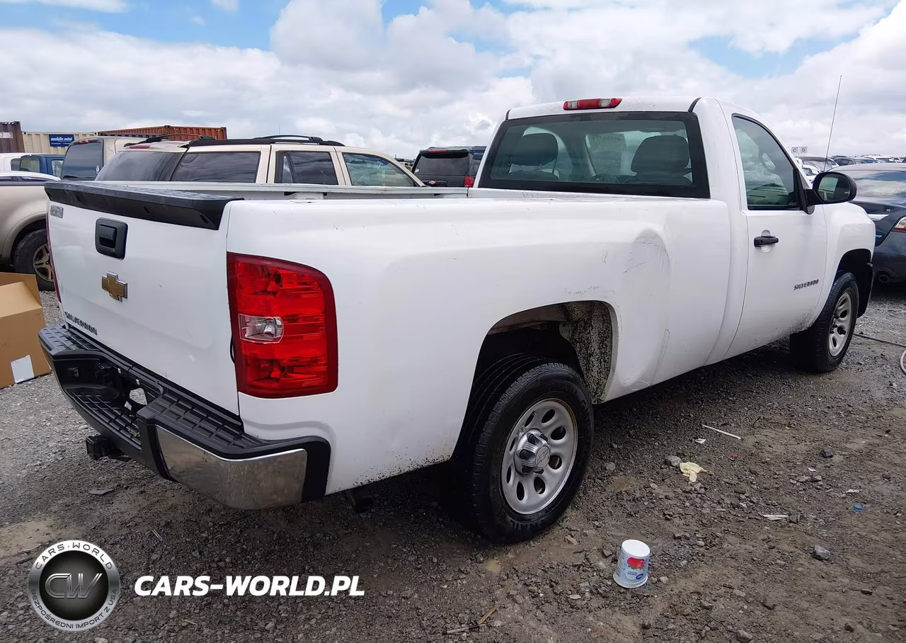 2010 Chevrolet Silverado 1500 Work Truck VIN:1GCPCPEX8AZ194262 - 4