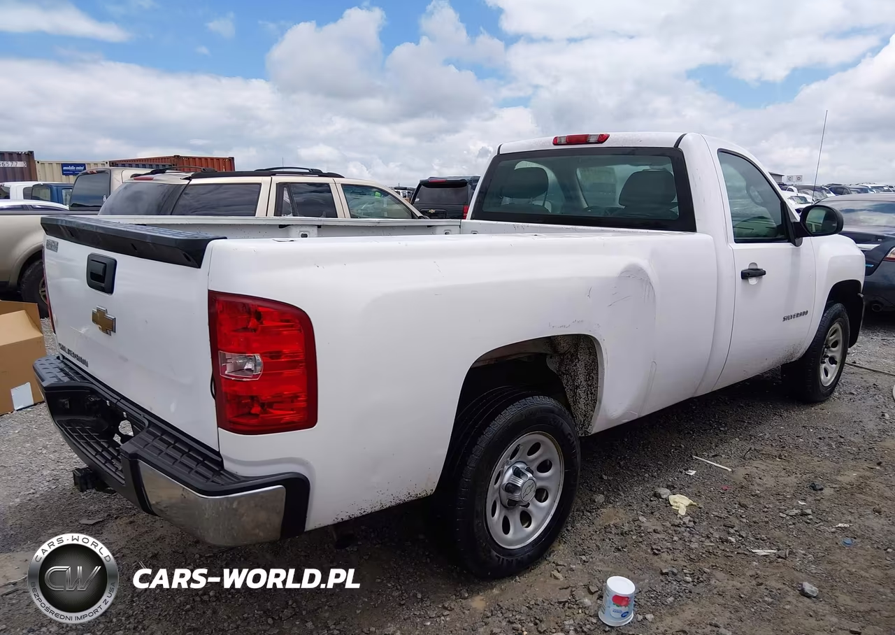 2010 Chevrolet Silverado 1500 Work Truck VIN:1GCPCPEX8AZ194262 - 6