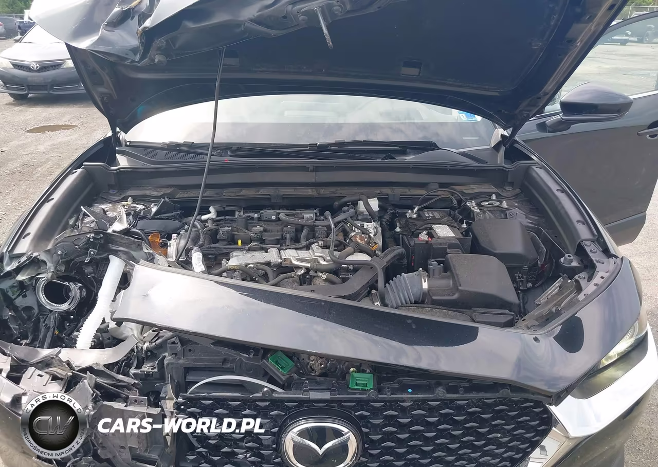 2024 Mazda Cx-30 2.5 S Premium Package VIN:3MVDMBDM8RM650928 - 10