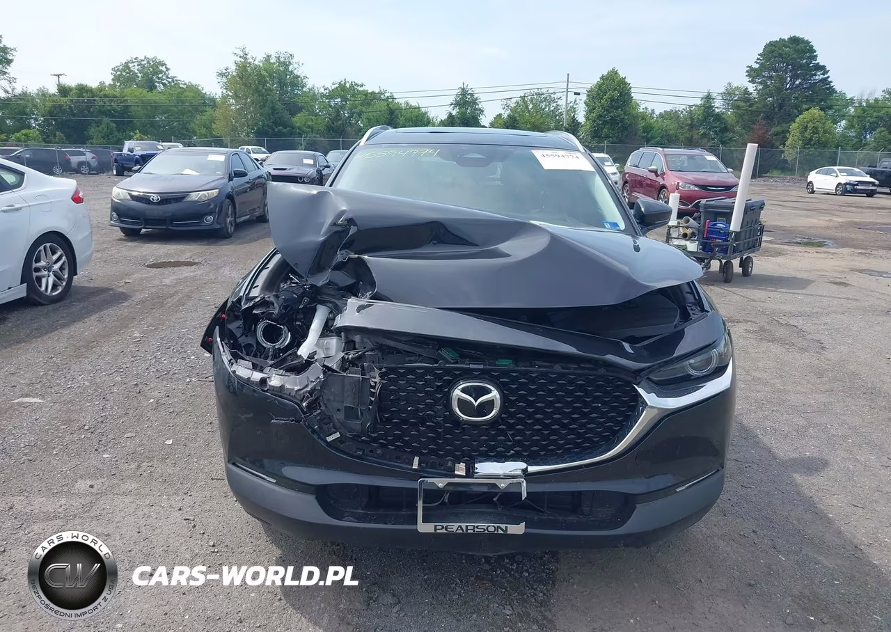 2024 Mazda Cx-30 2.5 S Premium Package VIN:3MVDMBDM8RM650928 - 12
