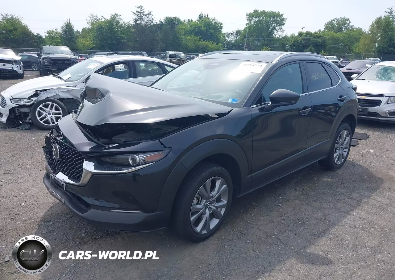 2024 Mazda Cx-30 2.5 S Premium Package VIN:3MVDMBDM8RM650928 - 2
