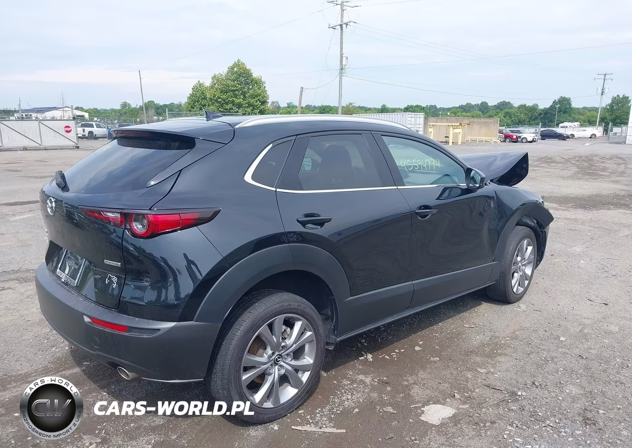 2024 Mazda Cx-30 2.5 S Premium Package VIN:3MVDMBDM8RM650928 - 4