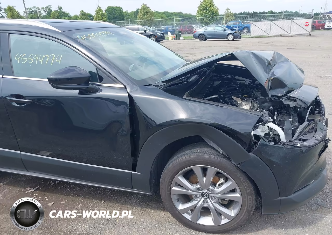 2024 Mazda Cx-30 2.5 S Premium Package VIN:3MVDMBDM8RM650928 - 6