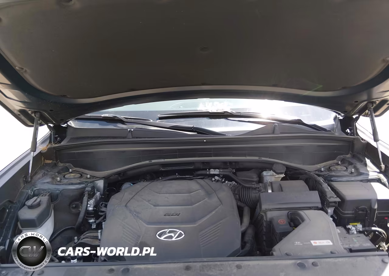 2023 Hyundai Palisade Calligraphy VIN:KM8R7DGE1PU601122 - 10