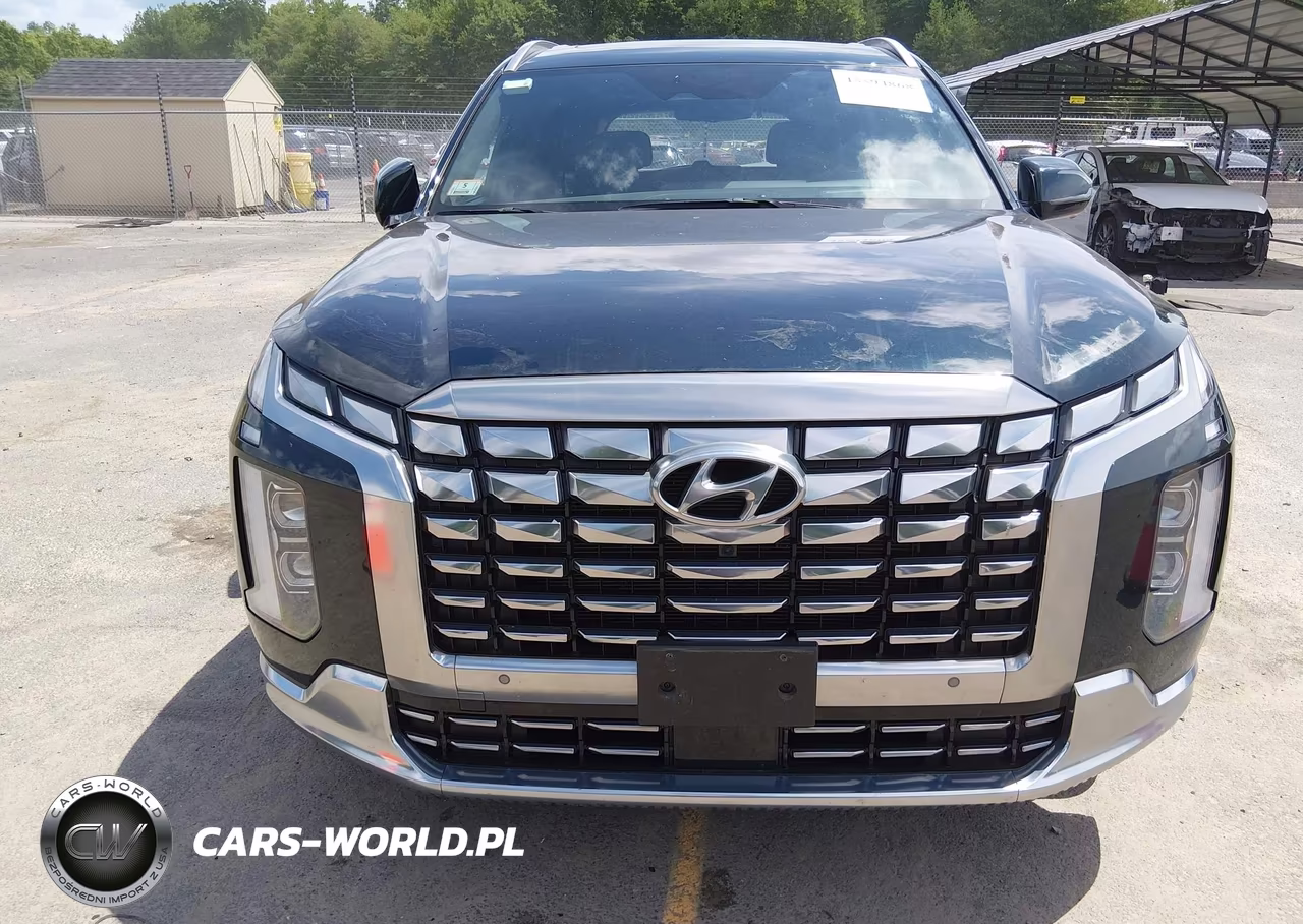 2023 Hyundai Palisade Calligraphy VIN:KM8R7DGE1PU601122 - 12