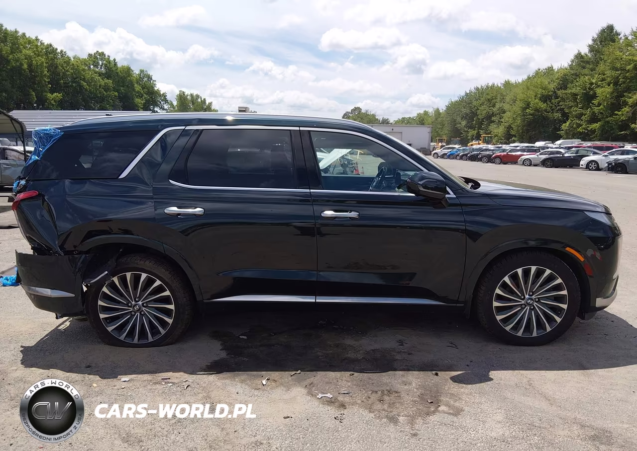 2023 Hyundai Palisade Calligraphy VIN:KM8R7DGE1PU601122 - 13