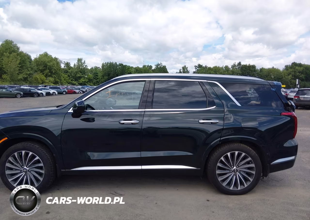 2023 Hyundai Palisade Calligraphy VIN:KM8R7DGE1PU601122 - 14