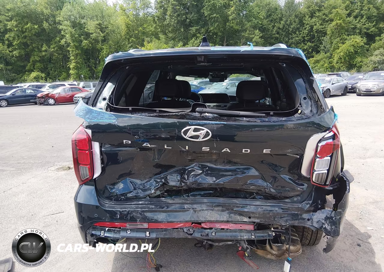 2023 Hyundai Palisade Calligraphy VIN:KM8R7DGE1PU601122 - 16