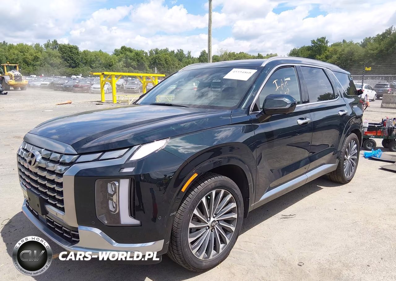 2023 Hyundai Palisade Calligraphy VIN:KM8R7DGE1PU601122 - 2