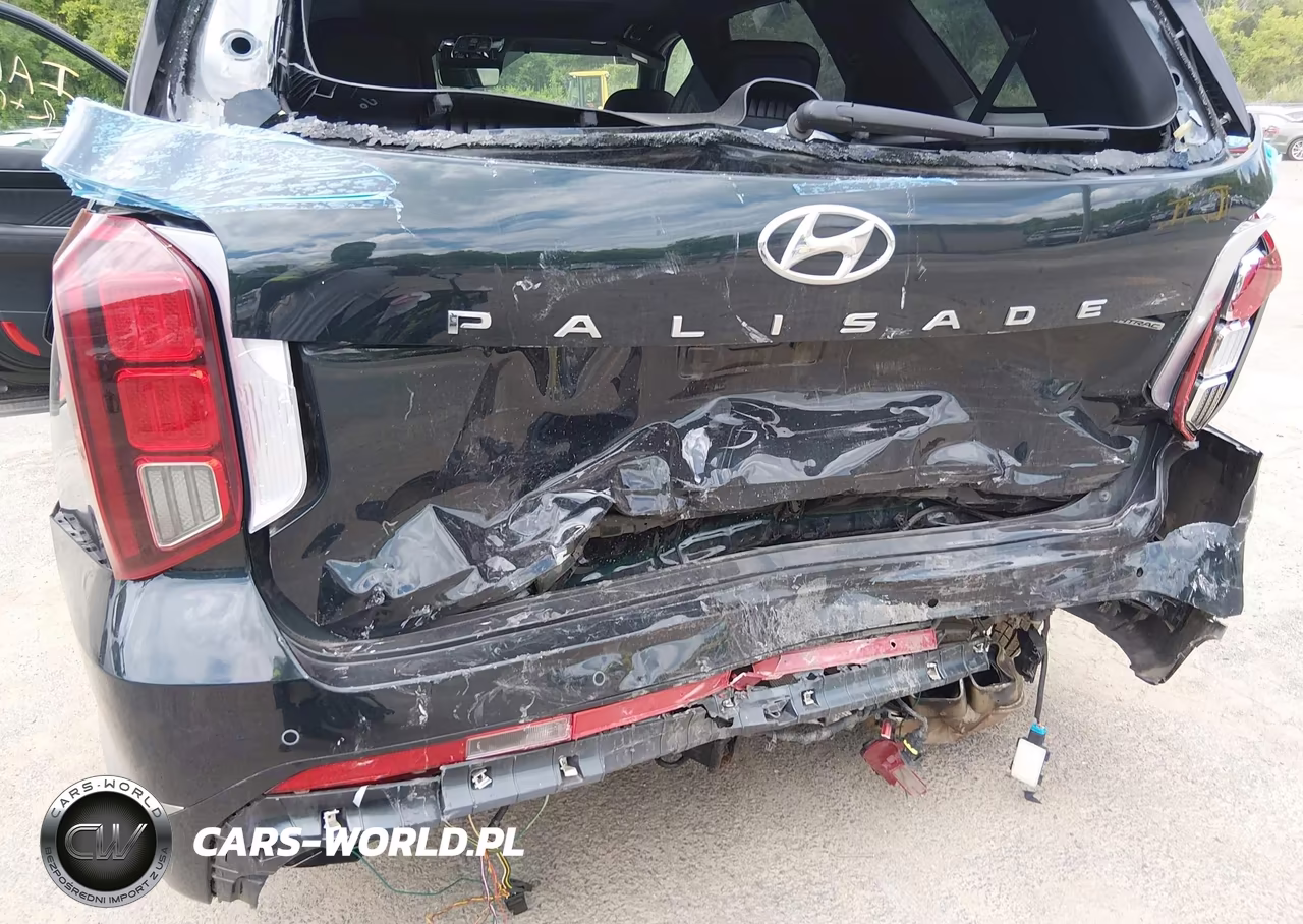2023 Hyundai Palisade Calligraphy VIN:KM8R7DGE1PU601122 - 6