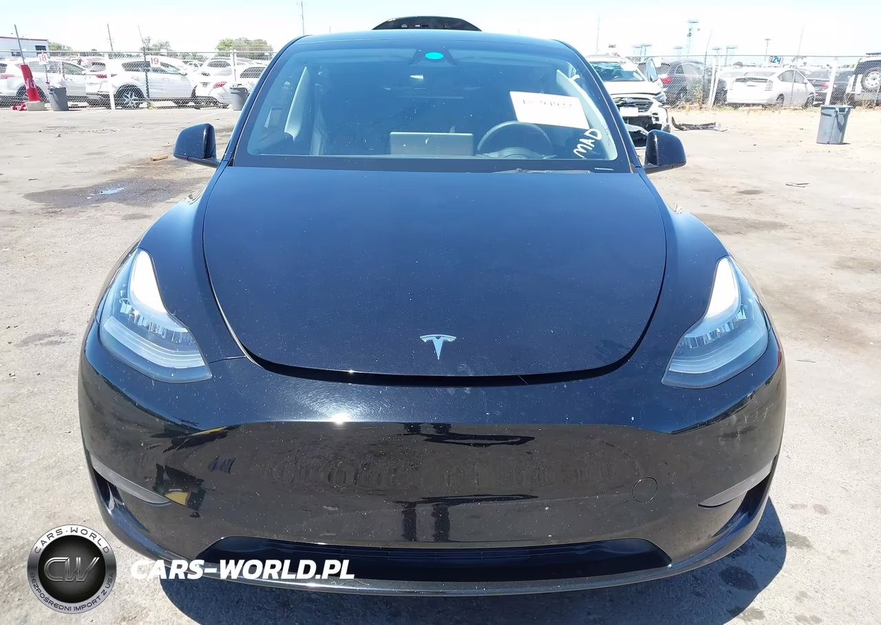 2023 Tesla Model Y Awd-Long Range Dual Motor All-Wheel Drive VIN:7SAYGDEE9PA152977 - 12