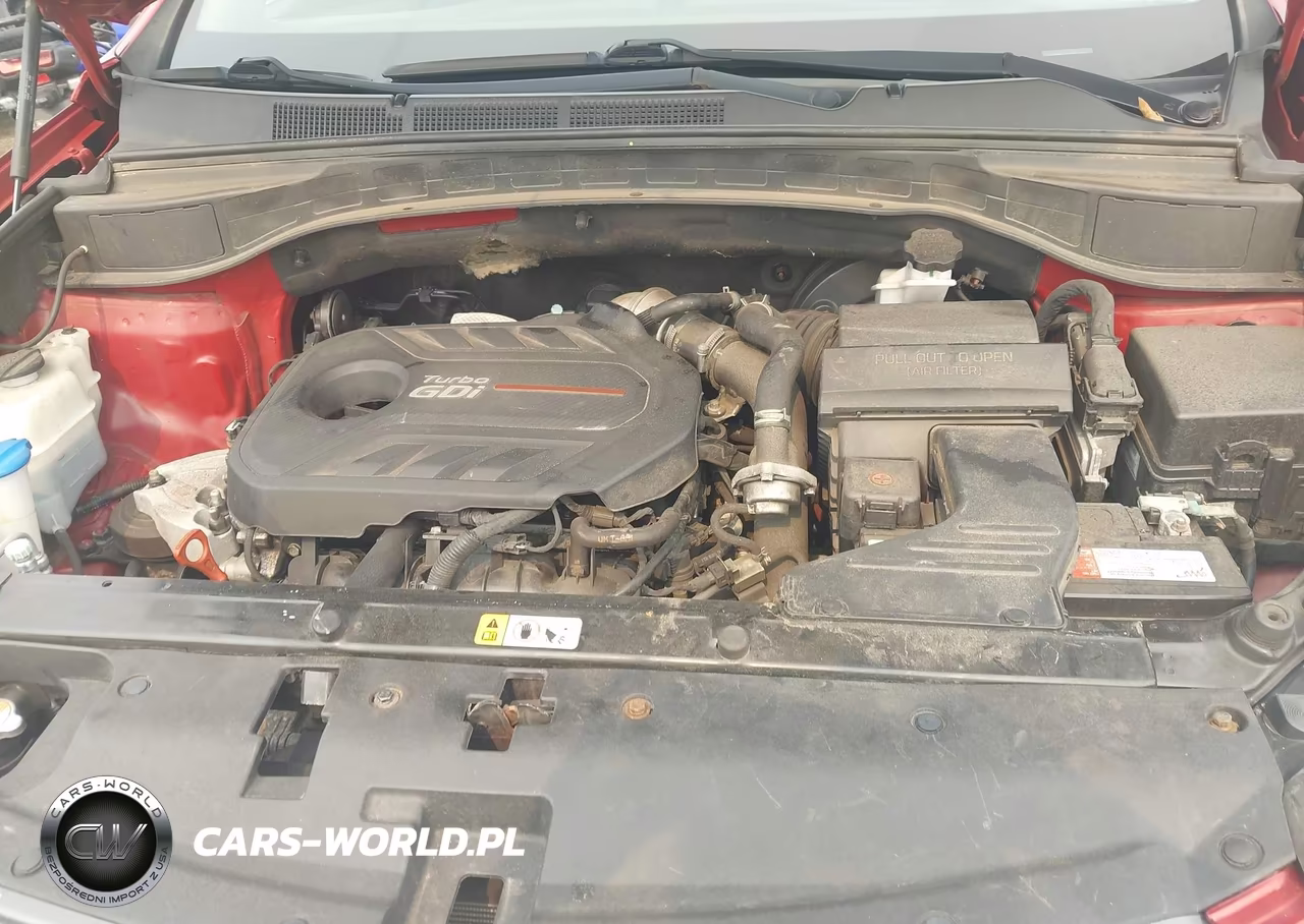 2018 Hyundai Santa Fe Sport 2.0T Ultimate VIN:5XYZWDLA3JG512574 - 10