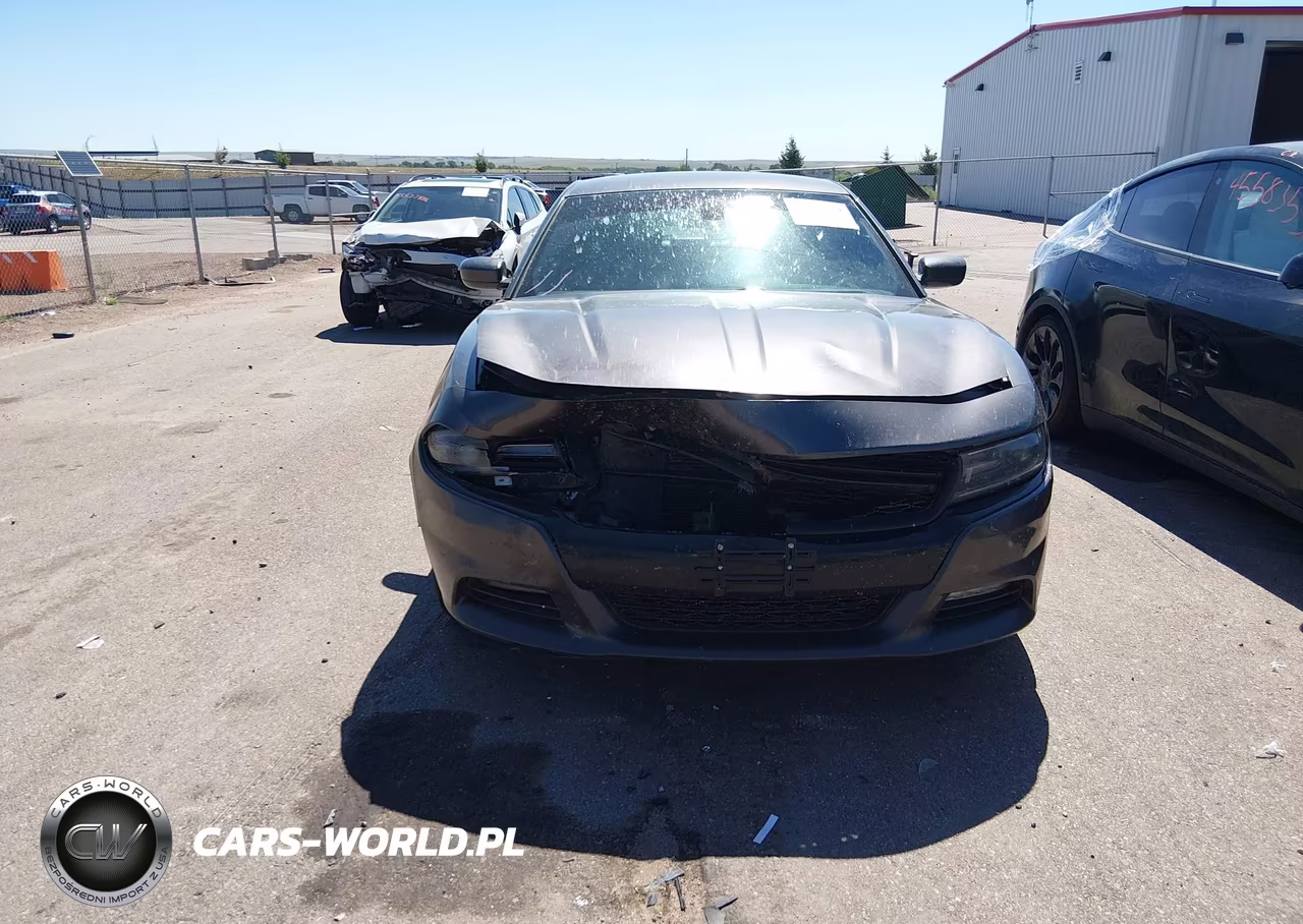 2015 Dodge Charger Road-Track VIN:2C3CDXCT8FH880485 - 12