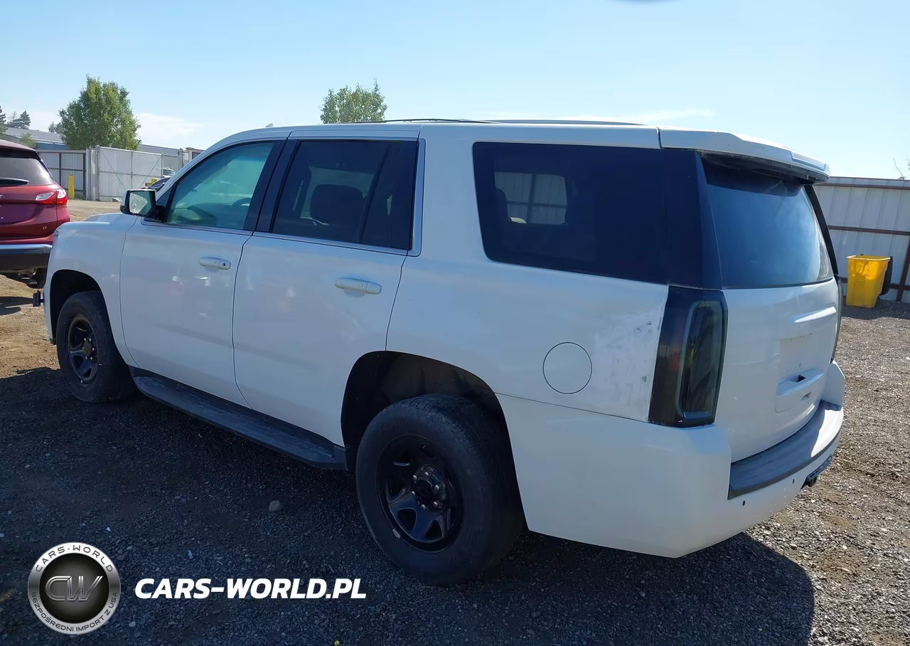 2019 Chevrolet Tahoe Commercial Fleet VIN:1GNSKDECXKR243818 - 3