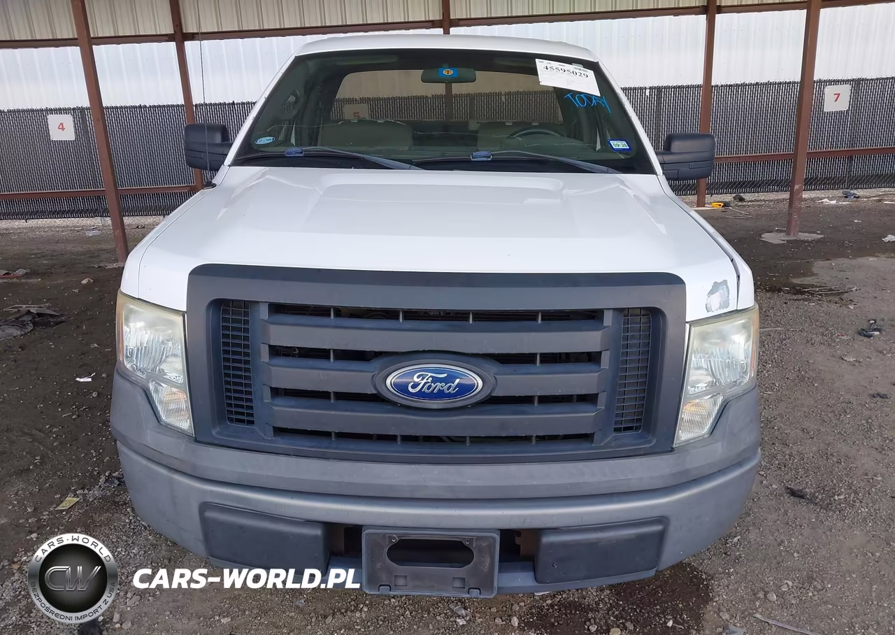2010 Ford F-150 Stx-Xl-Xl W-Mid-Box Prep-Xlt-Xlt W-Mid-Box Prep VIN:1FTMF1CW3AKE74617 - 12