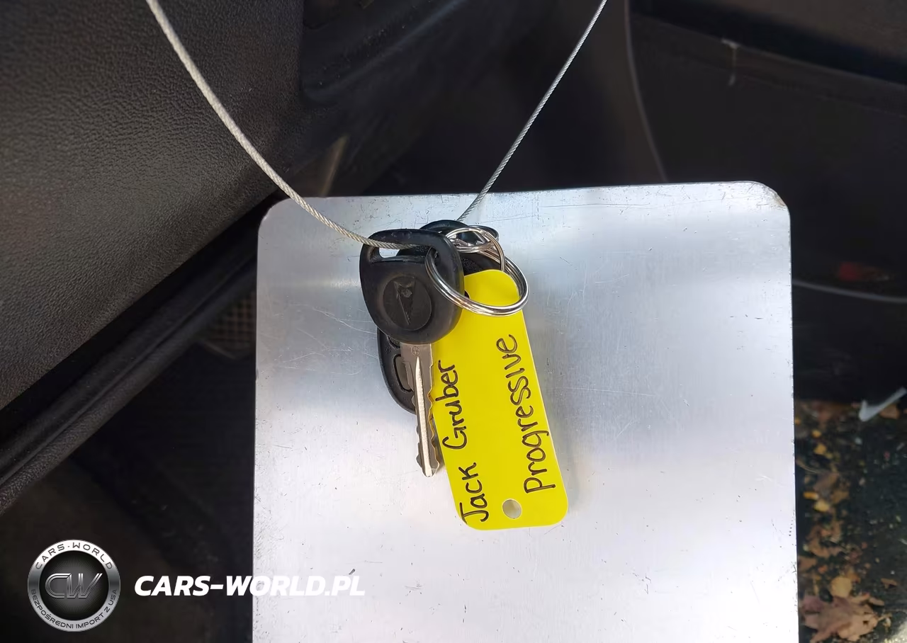 2009 Pontiac Torrent VIN:2CKDL33F196243579 - 11
