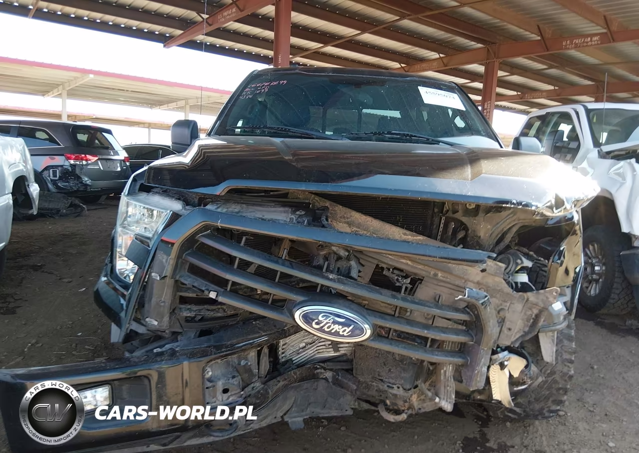 2016 Ford F-150 Xlt VIN:1FTEW1EP8GKF84386 - 12