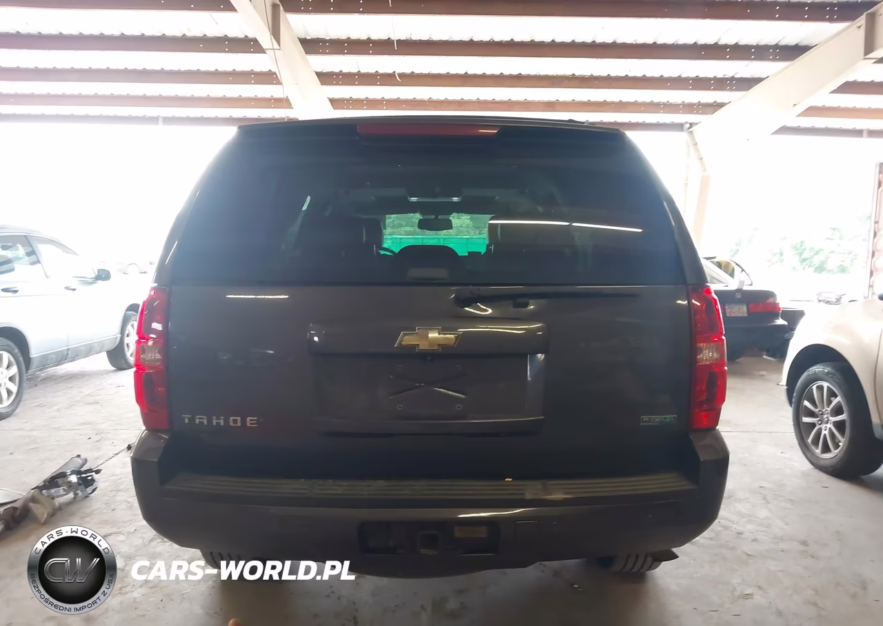 2010 Chevrolet Tahoe Lt VIN:1GNUKBE07AR291715 - 17