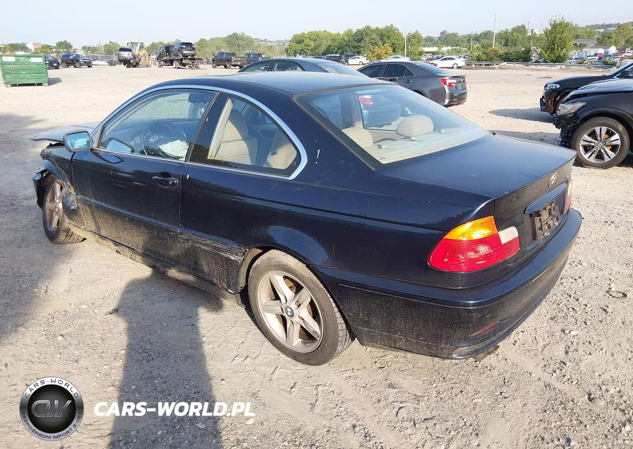 2003 BMW 3 Series 325Ci VIN:WBABN33403PG62053 - 3