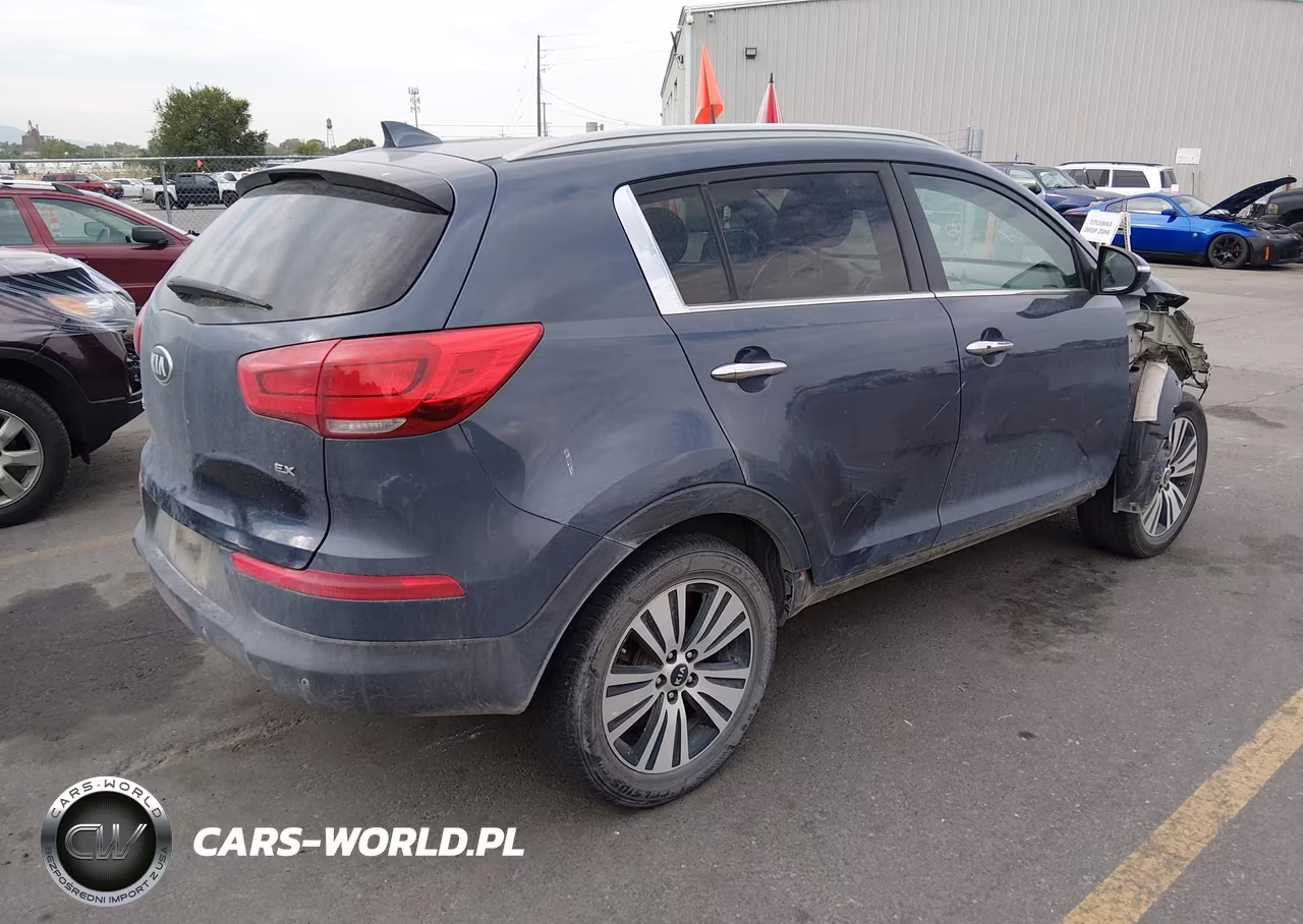 2016 Kia Sportage Ex VIN:KNDPC3AC0G7849689 - 4