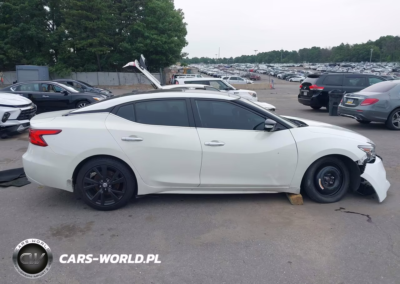 2017 Nissan Maxima 3.5 Platinum VIN:1N4AA6AP8HC424106 - 14
