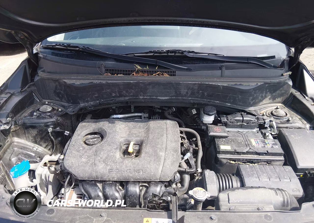 2023 Kia Seltos Lx VIN:KNDEPCAA8P7445145 - 10