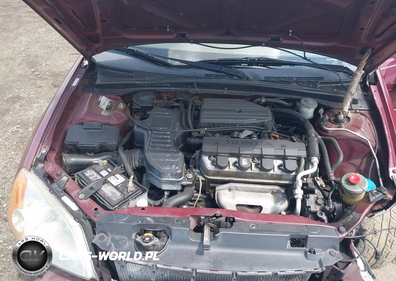 2003 Honda Civic Lx VIN:2HGES16593H555541 - 10