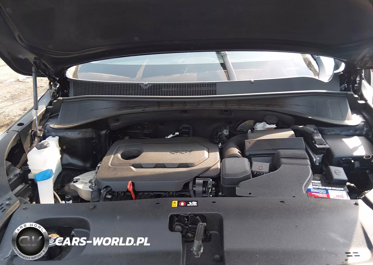 2020 Kia Sorento 2.4L Lx VIN:5XYPGDA31LG624480 - 10