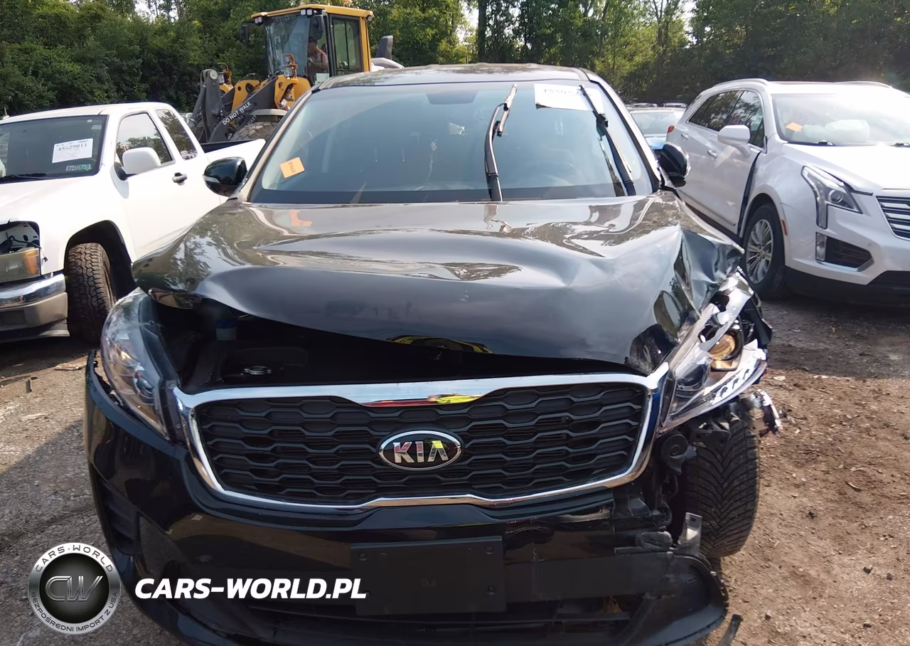 2020 Kia Sorento 2.4L Lx VIN:5XYPGDA31LG624480 - 12