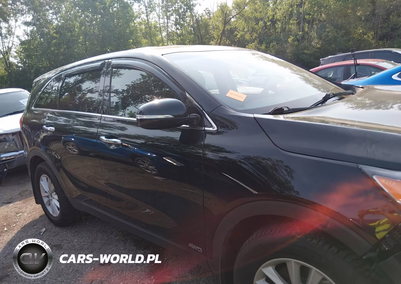 2020 Kia Sorento 2.4L Lx VIN:5XYPGDA31LG624480 - 13