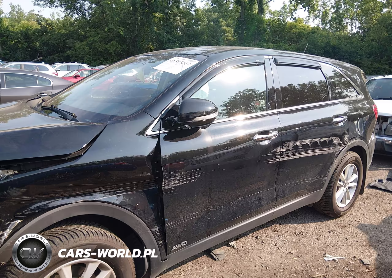 2020 Kia Sorento 2.4L Lx VIN:5XYPGDA31LG624480 - 14
