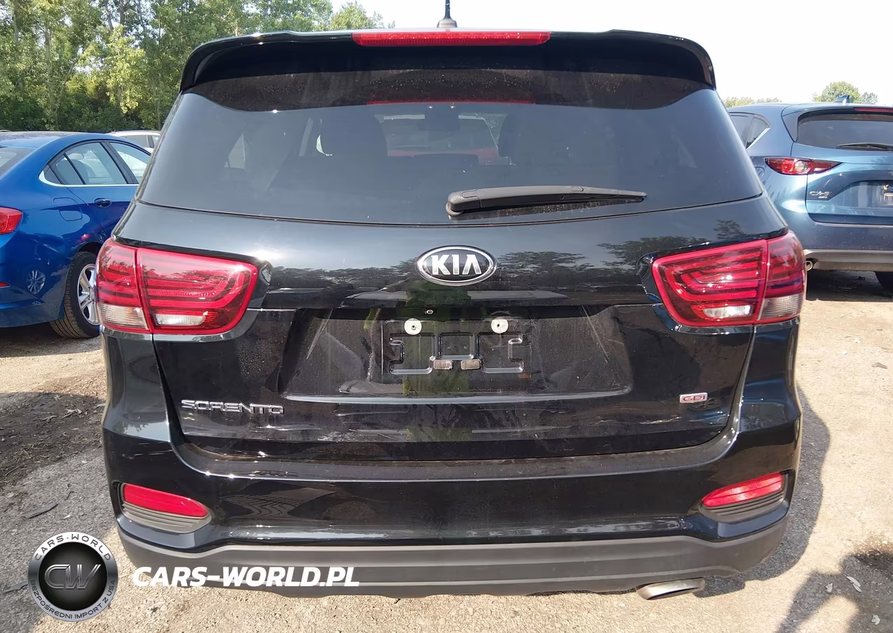 2020 Kia Sorento 2.4L Lx VIN:5XYPGDA31LG624480 - 16