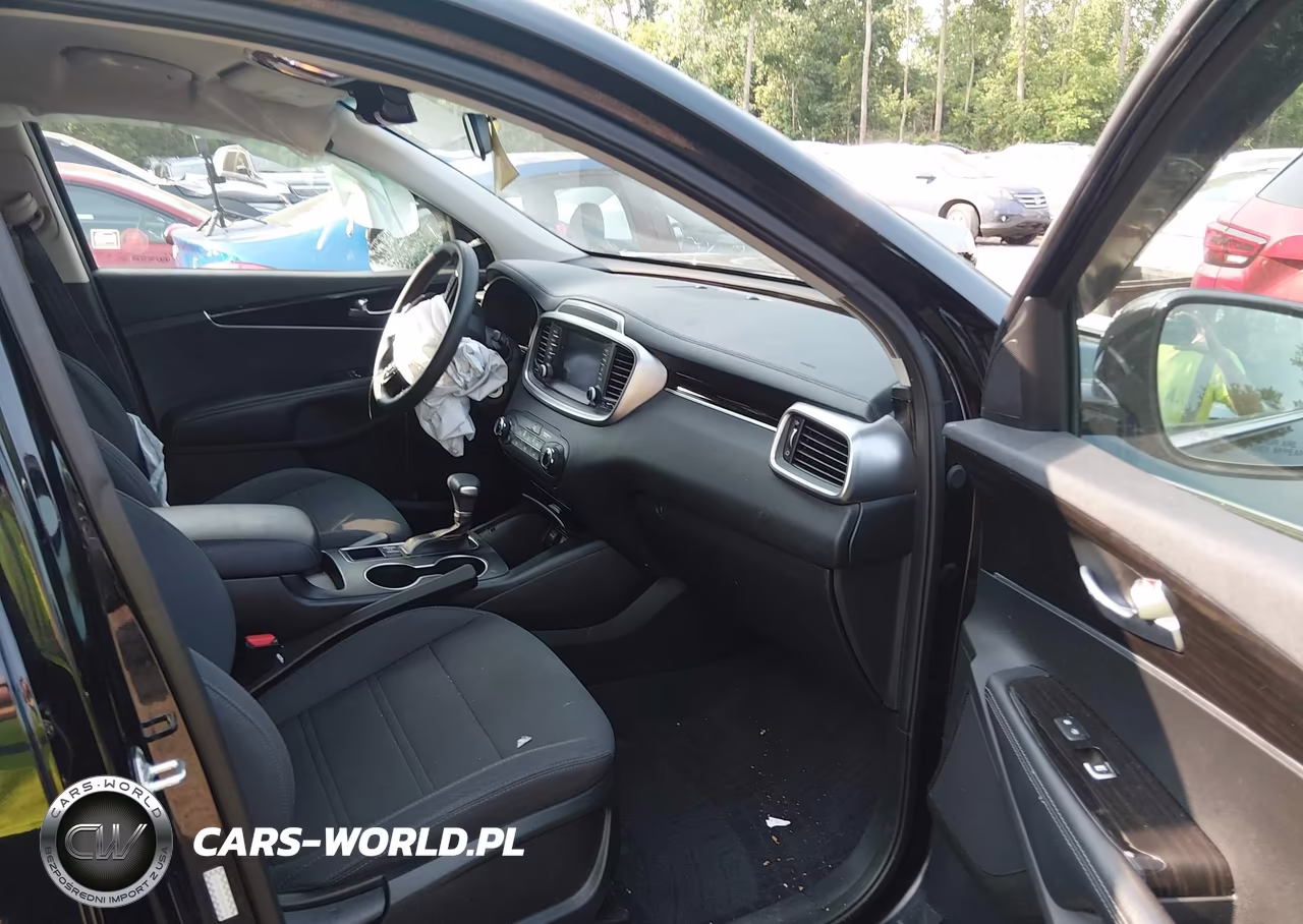 2020 Kia Sorento 2.4L Lx VIN:5XYPGDA31LG624480 - 5