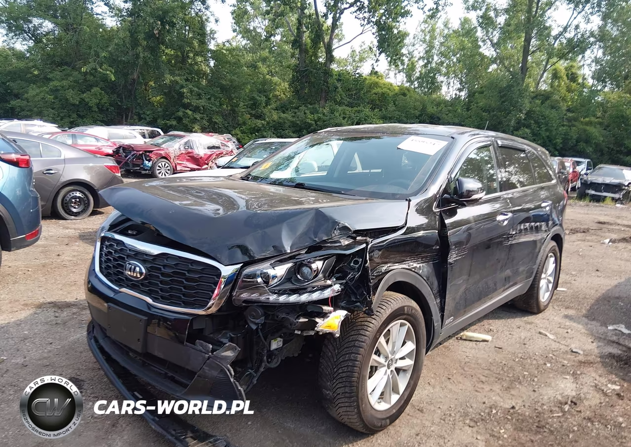 2020 Kia Sorento 2.4L Lx VIN:5XYPGDA31LG624480 - 6
