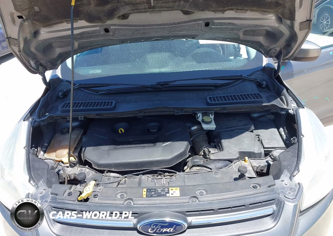 2014 Ford Escape Se VIN:1FMCU9G99EUC36930 - 10