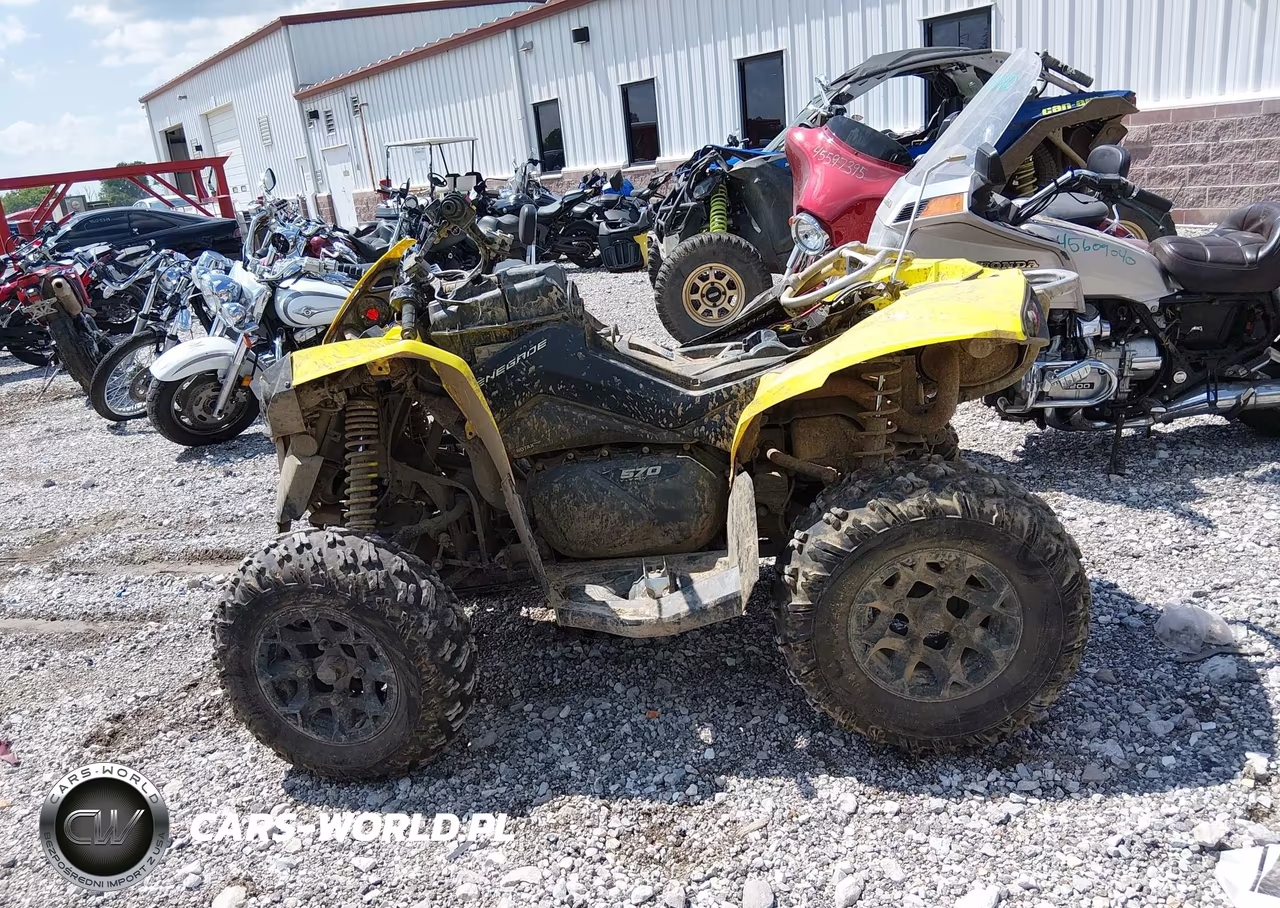 2019 Can-Am Renegade 570 VIN:3JBMGAV46KJ000300 - 12