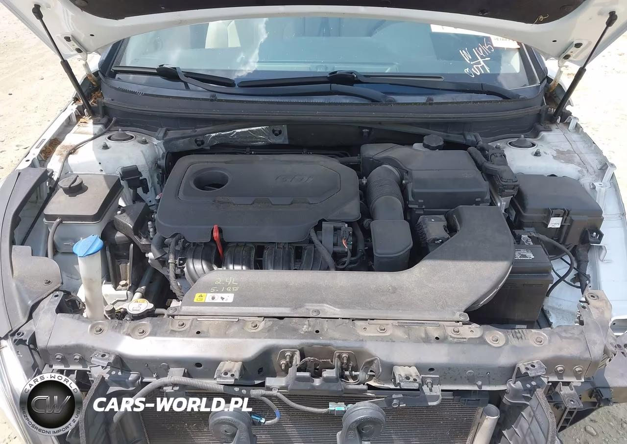 2015 Hyundai Sonata Se VIN:5NPE24AF2FH138208 - 10