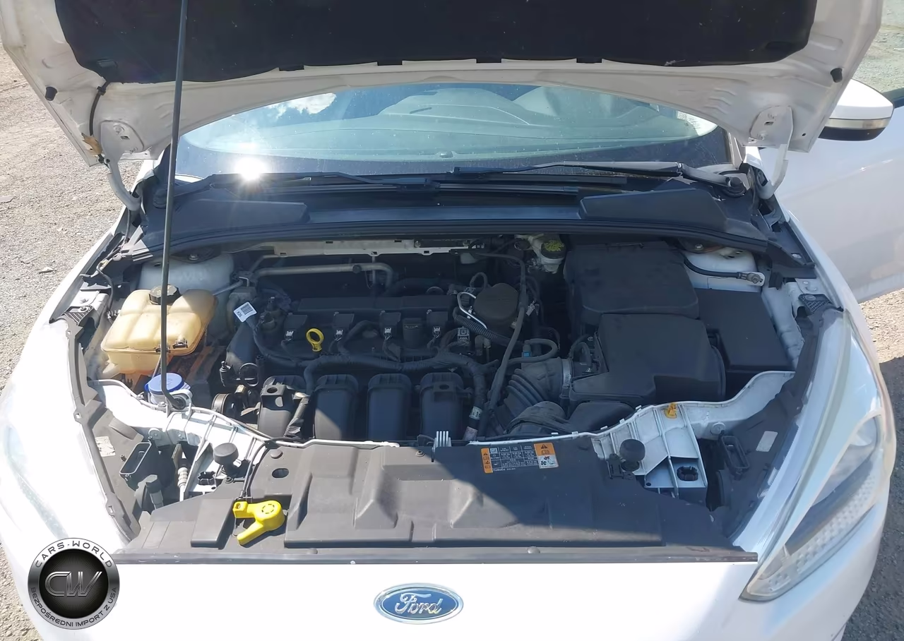 2016 Ford Focus Se VIN:1FADP3F27GL274981 - 10
