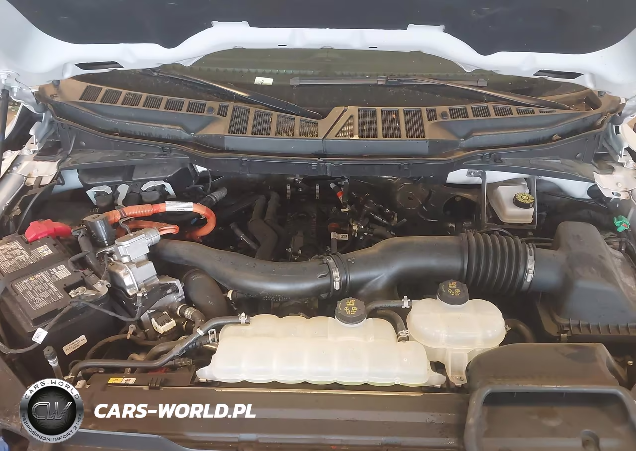 2025 Ford F-150 Xlt VIN:1FTFW3LD0SFB45158 - 10