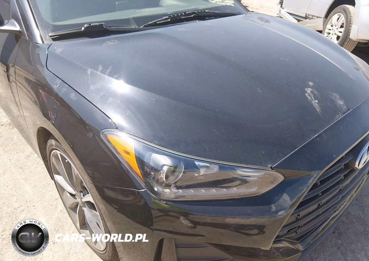 2019 Hyundai Veloster 2.0 Premium VIN:KMHTG6AF2KU008980 - 6