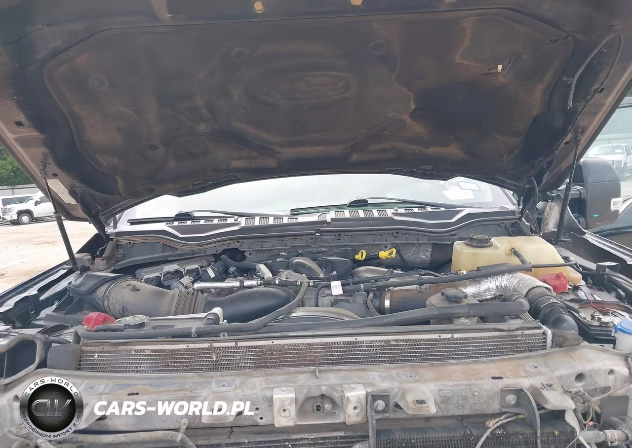 2018 Ford F-250 Limited VIN:1FT7W2BT5JEB81293 - 10
