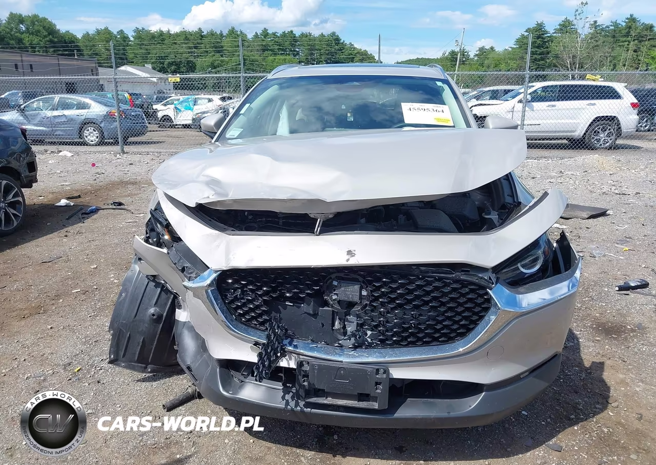 2024 Mazda Cx-30 2.5 S Preferred Package VIN:3MVDMBCM8RM720493 - 11
