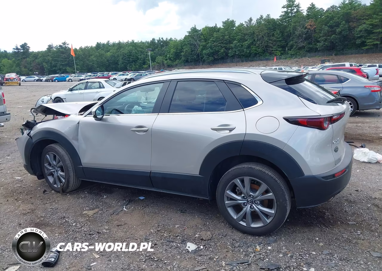 2024 Mazda Cx-30 2.5 S Preferred Package VIN:3MVDMBCM8RM720493 - 13