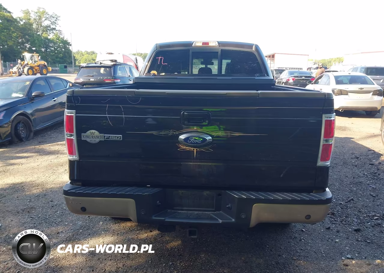 2013 Ford F-150 Fx4-King Ranch-Lariat-Limited-Platinum-Xl-Xlt VIN:1FTFW1ET5DKE65031 - 17