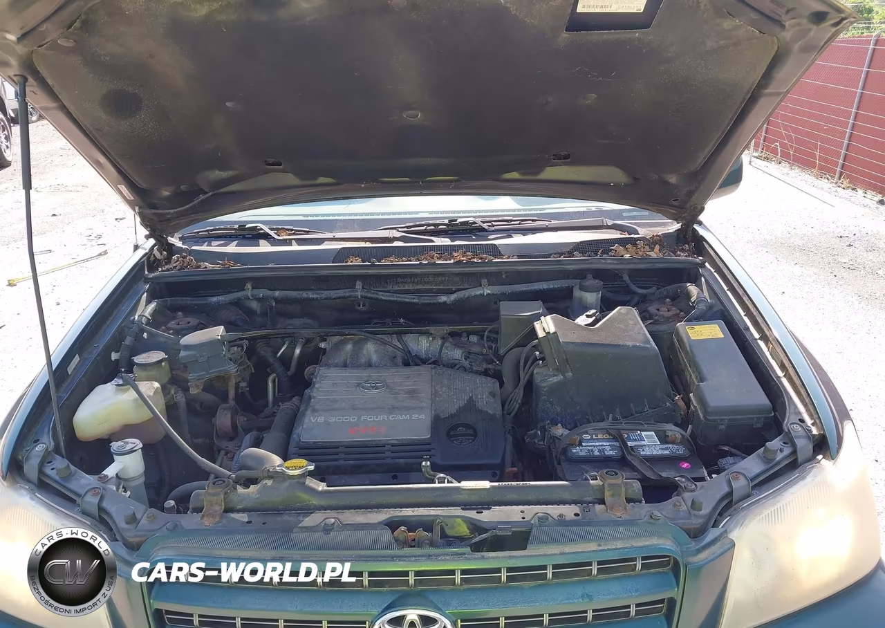 2001 Toyota Highlander V6 VIN:JTEHF21A710010977 - 10