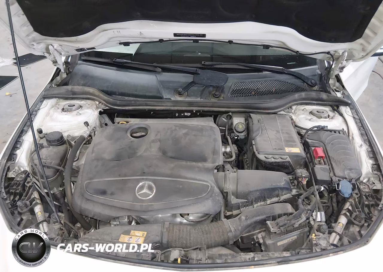 2014 Mercedes-Benz Cla 250 VIN:WDDSJ4EB0EN045446 - 10