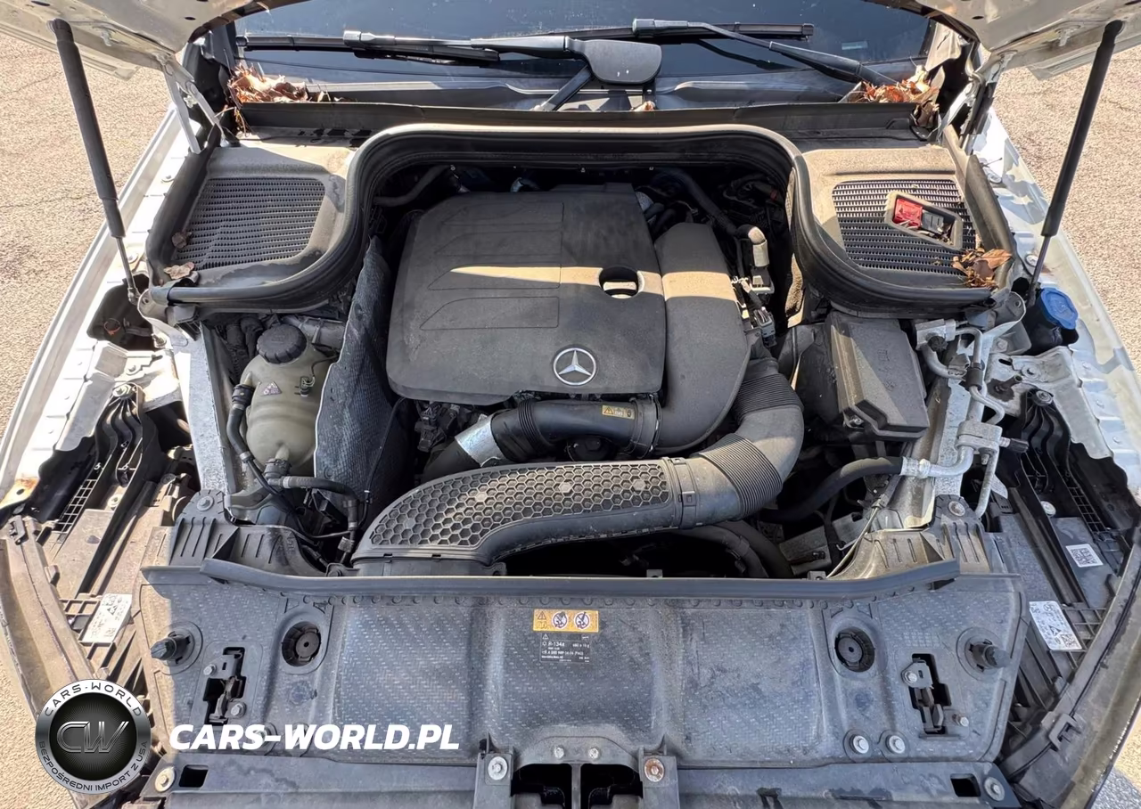 2020 Mercedes-Benz Gle 350 VIN:4JGFB4JB7LA169745 - 10