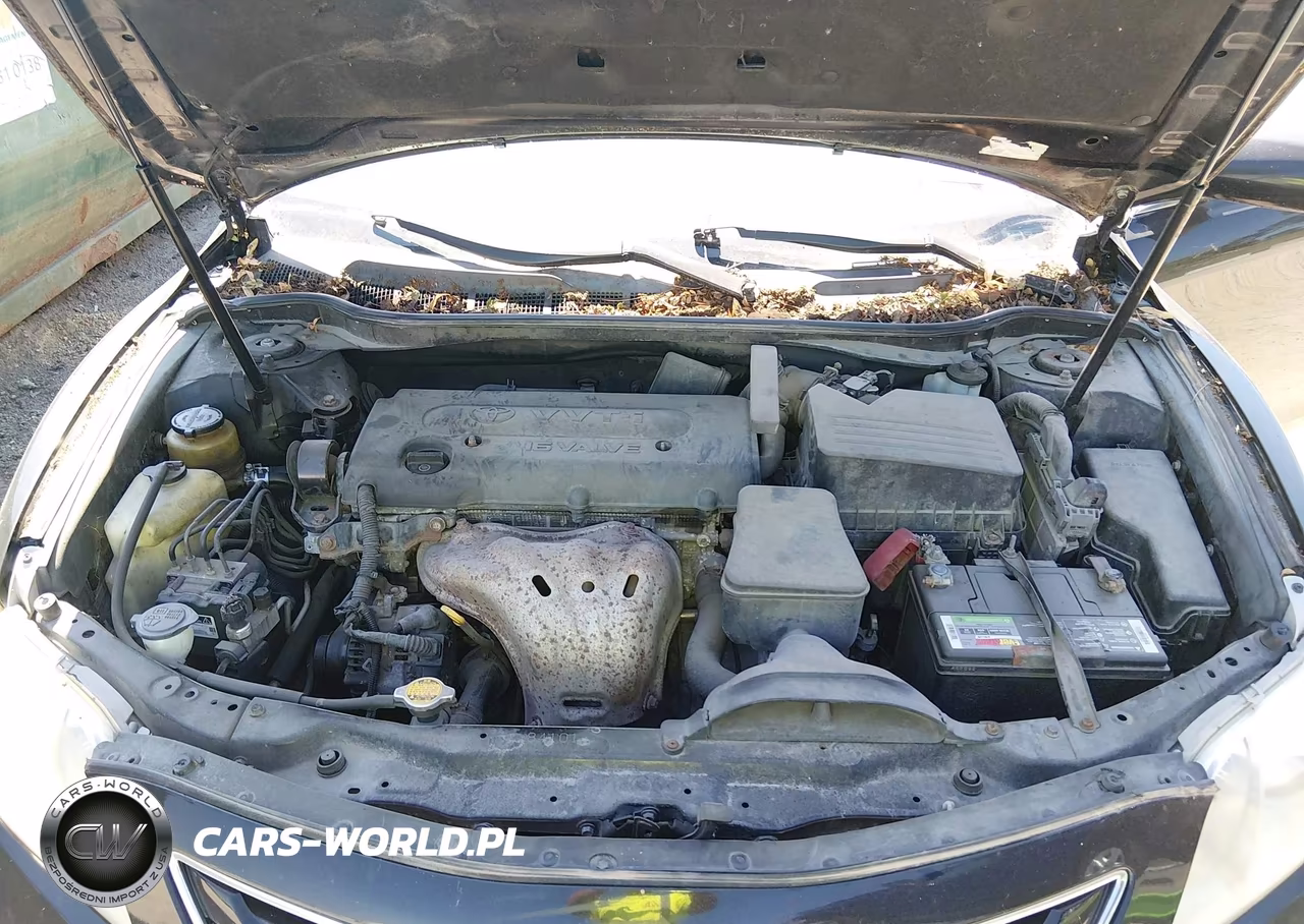 2009 Toyota Camry Xle VIN:4T4BE46K09R084967 - 10