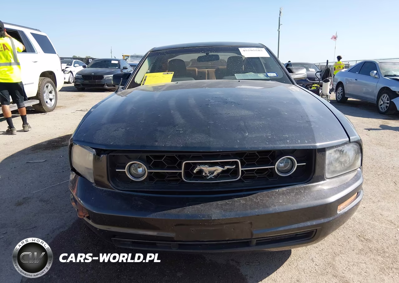 2009 Ford Mustang V6-V6 Premium VIN:1ZVHT80N695101934 - 12