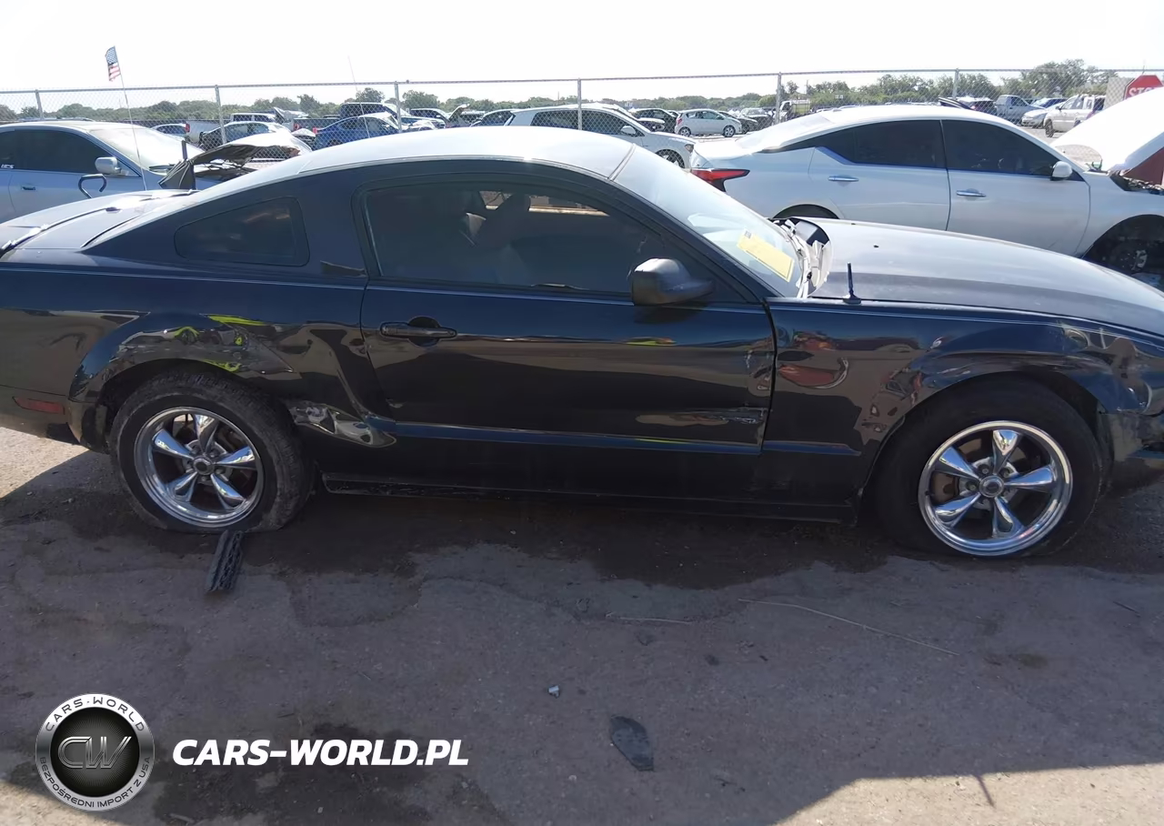 2009 Ford Mustang V6-V6 Premium VIN:1ZVHT80N695101934 - 13